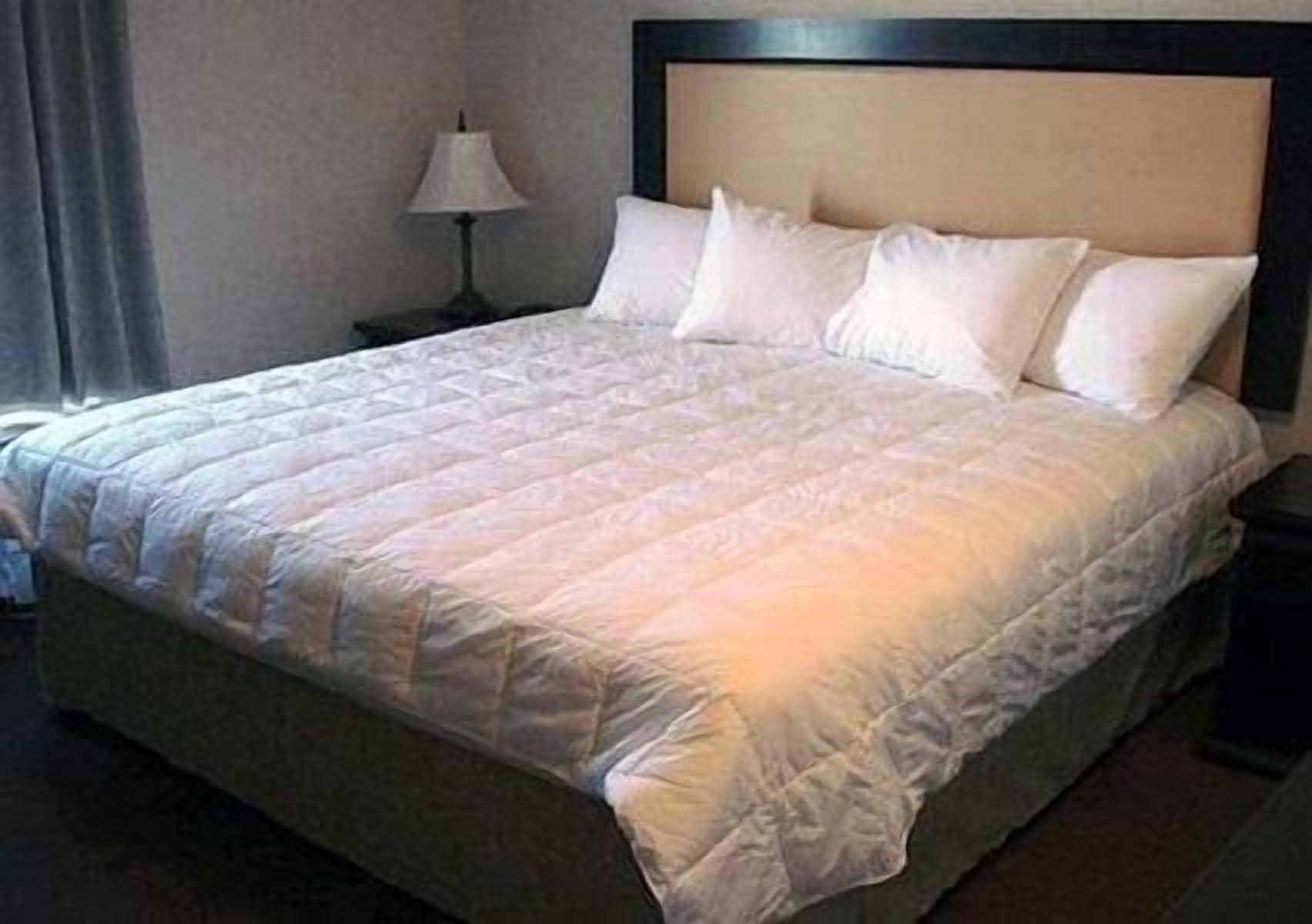 Quality Inn & Suites Lethbridge Esterno foto
